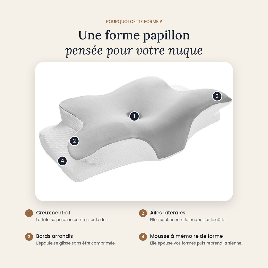 Forme papillon : creux central, ailes latérales, bords arrondis, mousse à mémoire de forme